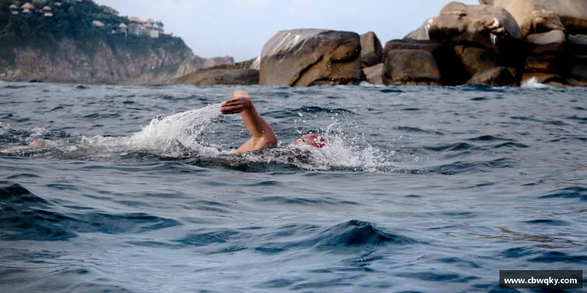 了解一竞技官网